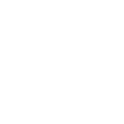 Logo Vertical White